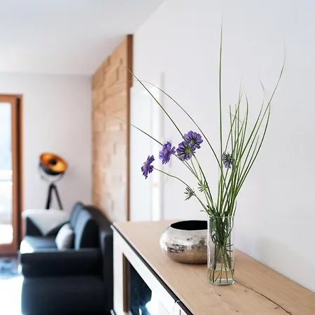 Landhaus - 03 公寓 达米尔斯